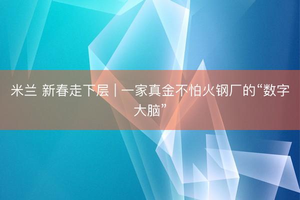 米兰 新春走下层 | 一家真金不怕火钢厂的“数字大脑”