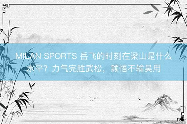MILAN SPORTS 岳飞的时刻在梁山是什么水平？力气完胜武松，颖悟不输吴用